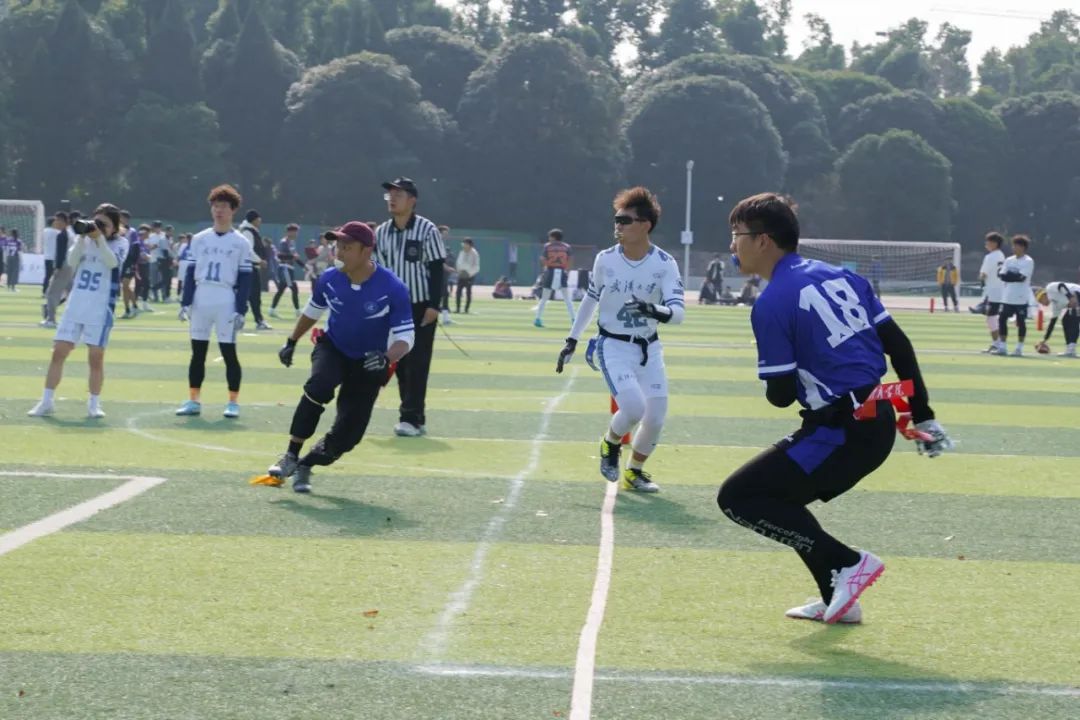 1736127648599492.jpg ba507ba9c83fd80fe1f62d2a4dcfbf13.jpg